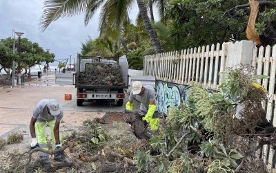 Interventions post-cyclone Batsiraï