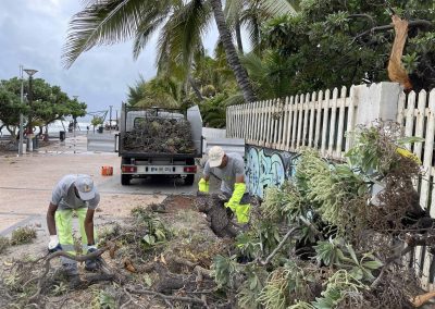 déblayage post cyclone roches noires