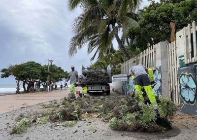 déblayage post cyclone Roches Noires tamarun