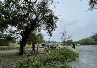 déblayage post cyclone Cap homard tamarun