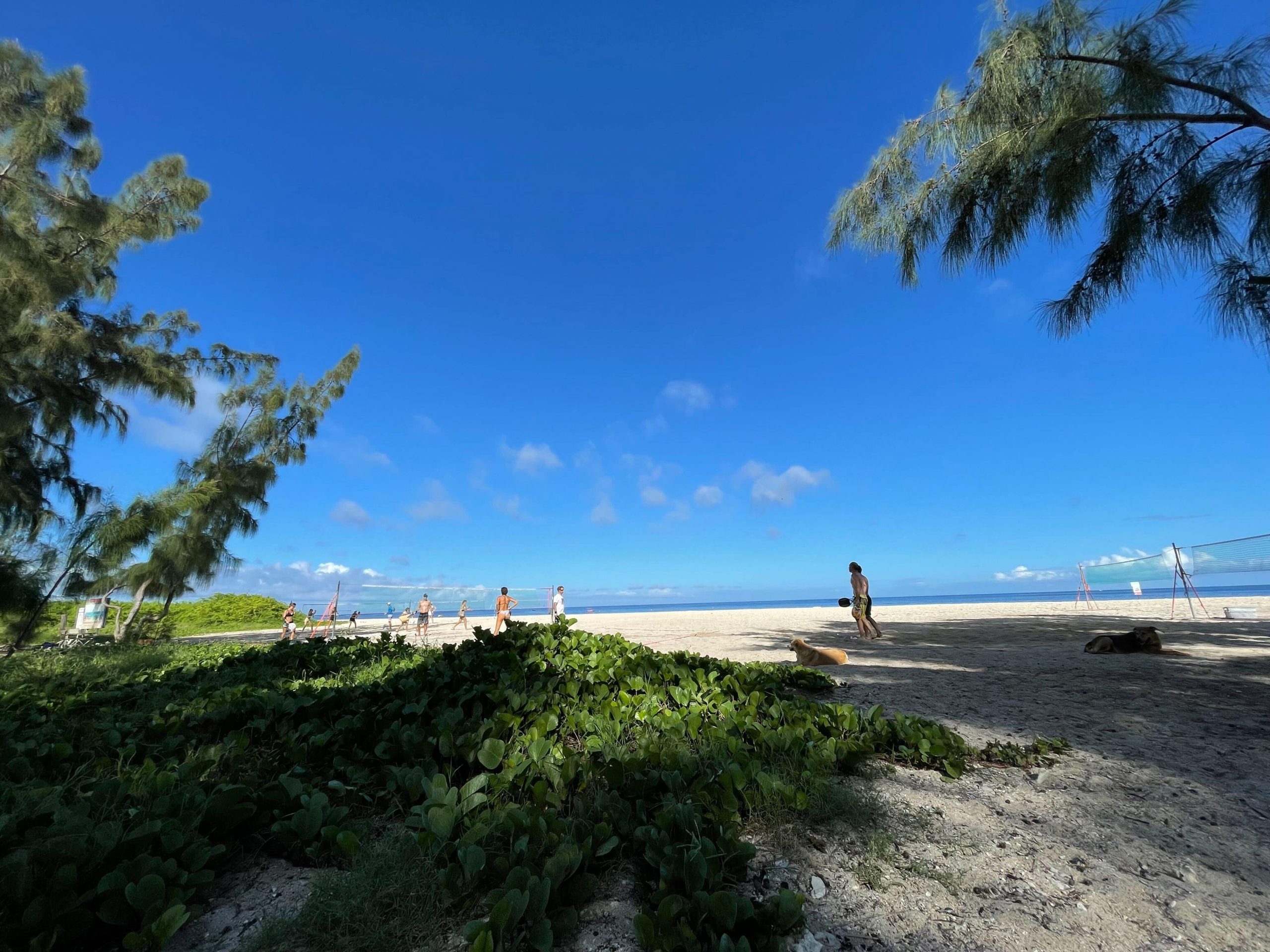 open des brisants plage tamarun