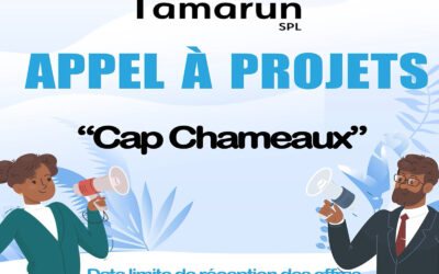 Appel à projets  » Cap Chameaux »