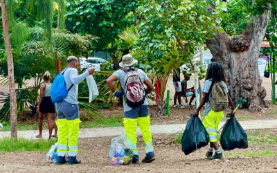 Entretien du littoral Ouest par Tamarun pendant le réveillon